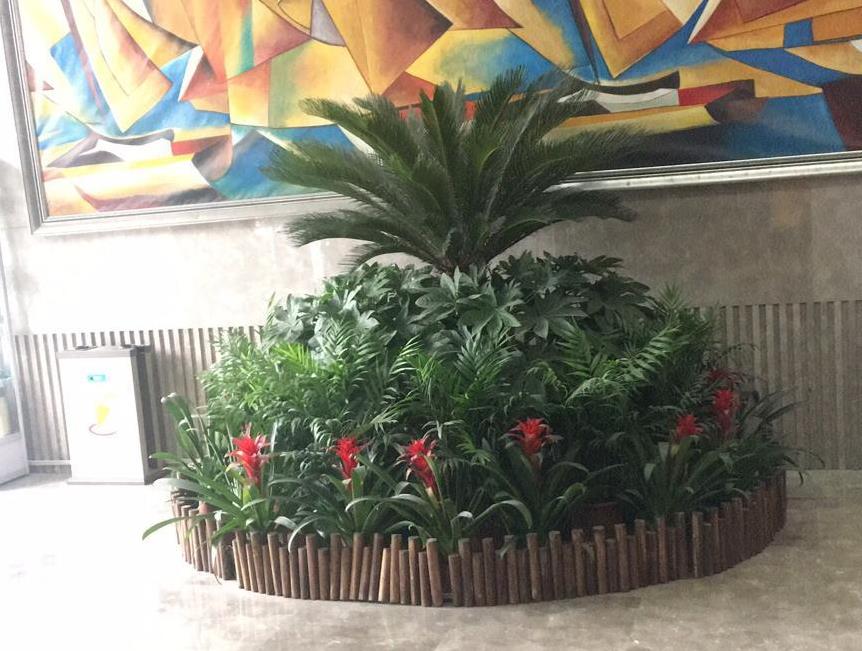 會(huì)務(wù)綠植租擺